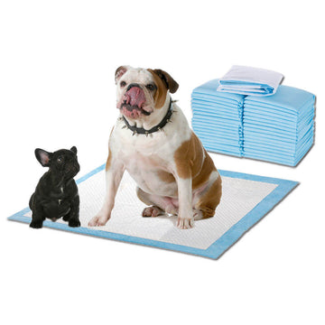 PaWz 100 Pcs 60x60cm Ultra Absorbent Puppy Pet Dog Cat Toilet Training Pads Blue PaWz